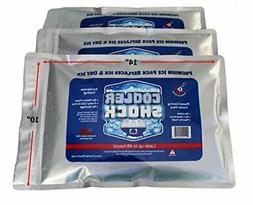 Shock Lg Reusable Cooler Ice Packs Replace Ice- Screw Cap 10